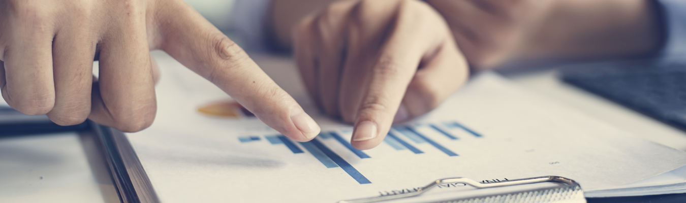 RISQ - Infer Solutions Inc